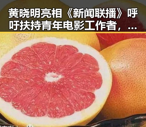 黄晓明亮相《新闻联播》呼吁扶持青年电影工作者，展示国家对文艺发展的重视