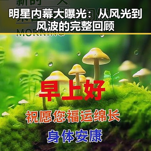 明星内幕大曝光：从风光到风波的完整回顾